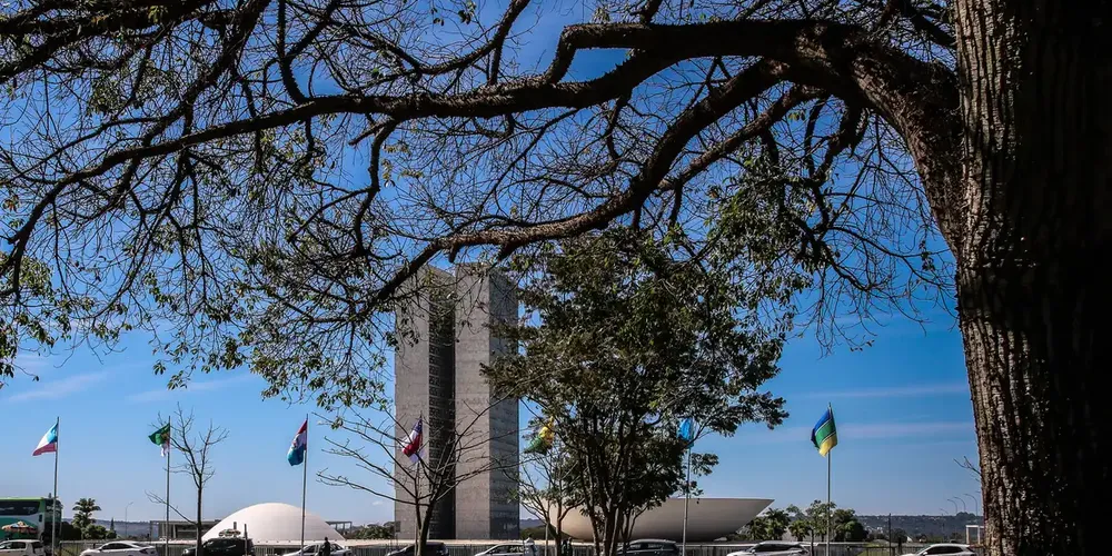 O projeto amplia a autorização de infiltração policial no meio virtual e prevê aumento de pena nos crimes contra criança e adolescente praticados nos meios digitais