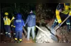 Corpo de adolescente sequestrada é encontrado em mata