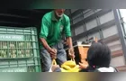 Feira Verde estará no 'Borato' e em mais 14 vilas de Ponta Grossa; veja sua rua