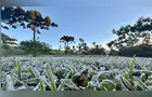 Frente fria derruba temperaturas e pode provocar geada no Paraná