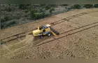Boletim Agro aponta prejuízos em lavouras dos Campos Gerais