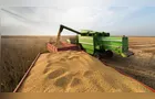 Brasil exportou 13,83 milhões de toneladas de soja em junho