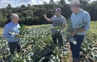Câmara de Ponta Grossa incentiva a produção no agro com diversos projetos