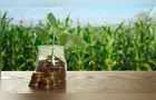 Medida Provisória de dívida rural foca em perdas climáticas