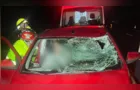 Pedestre morre após ser atropelado na PR-151 em Carambeí