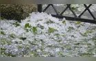 Temporais com granizo atingem lavouras nos Campos Gerais