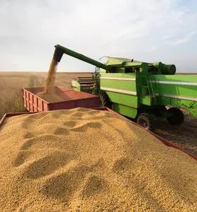 Brasil exportou 13,83 milhões de toneladas de soja em junho