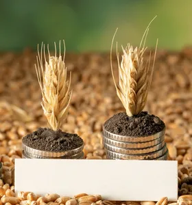 Desembolsos de crédito rural caíram 12% na safra 2025/26