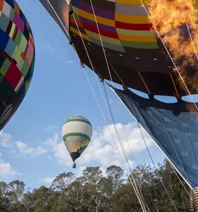 Festival de Balonismo tem espetáculo noturno 'Night Glow' no sábado em Ponta Grossa