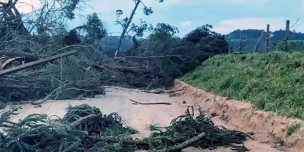 A medida atende ao pedido do Sistema FAEP e vale para áreas urbanas e rurais em situação de calamidade ou emergência declarada
