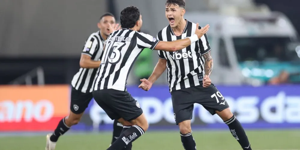 No Nilton Santos, o Botafogo derrotou o Santos por 2 a 1