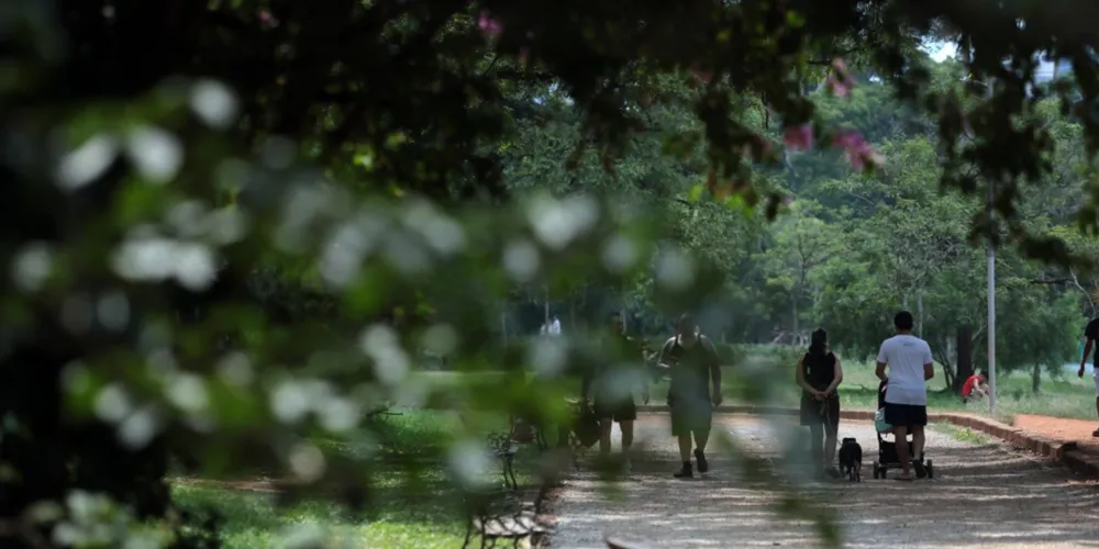 A temperatura mínima não passa dos 14°C em Porto Alegre e a máxima é esperada em Curitiba, de 18°C