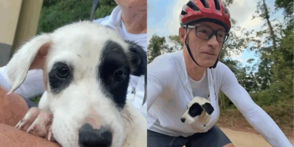 Filhote de cachorro é resgatado por ciclista durante treino