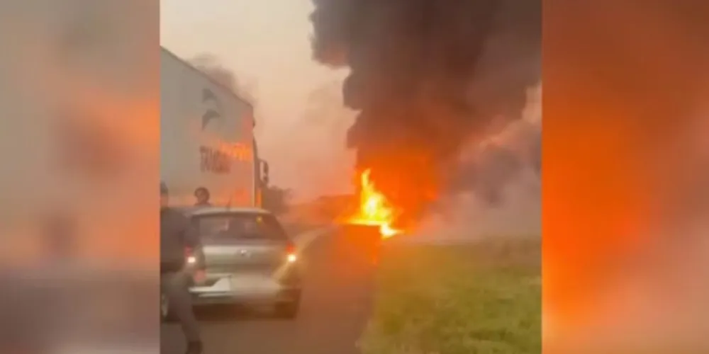 Chamas interditaram trecho da rodovia e avançaram pela área de mata seca