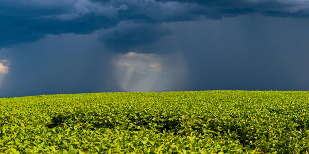 A orientação do Sistema FAEP é que os agricultores e pecuaristas procurem a instituição financeira onde possuem operações de crédito rural