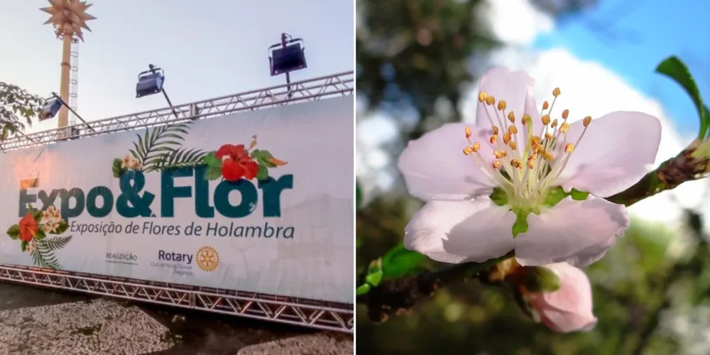 A feira será realizada de 4 a 15 de setembro