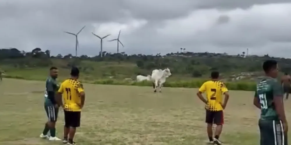 Apesar do susto e da correria, ninguém ficou ferido