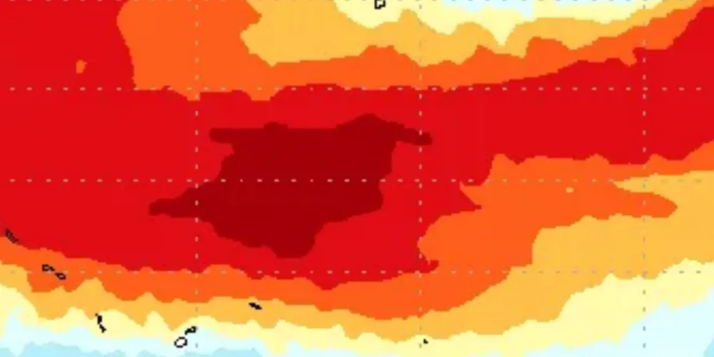 Temperaturas do oceano em 8 de julho de 2026