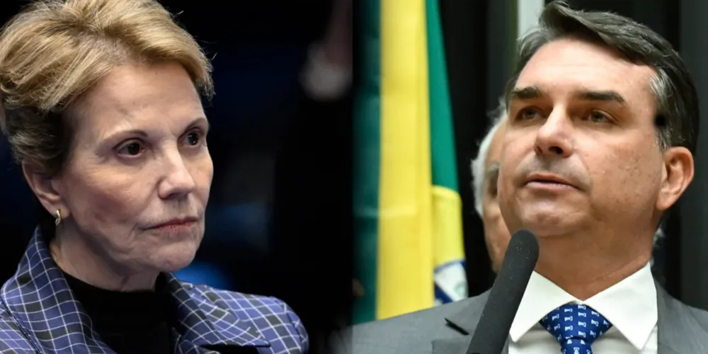 Tereza Cristina e Flávio Bolsonaro
