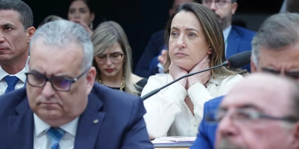 Deputada federal Rosangela Moro (PL-SP)