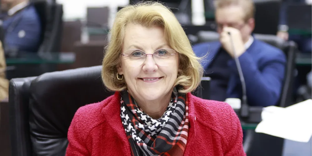 O projeto é da deputada estadual Márcia Huçulak