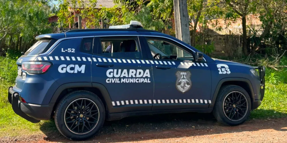 A situação foi atendida pela GCM