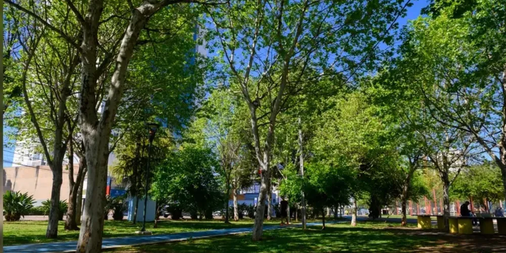 Parque Ambiental Governador Manoel Ribas