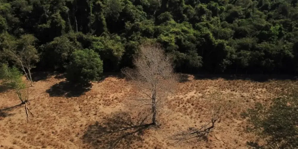 A promessa, no entanto, vem acompanhada de cobranças para que ela seja tirada do papel