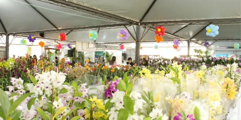 Feira acontece no mês de setembro