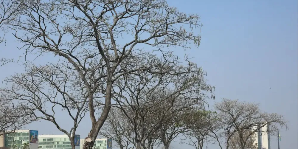 Com temperaturas elevadas no interior da região, a máxima pode chegar a 37°C em Cuiabá e Goiânia