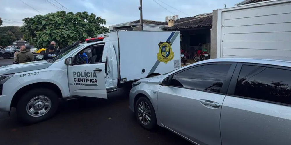 Ao todo, foram cumpridos 24 mandados judiciais, sendo três de prisão e 21 de busca e apreensão