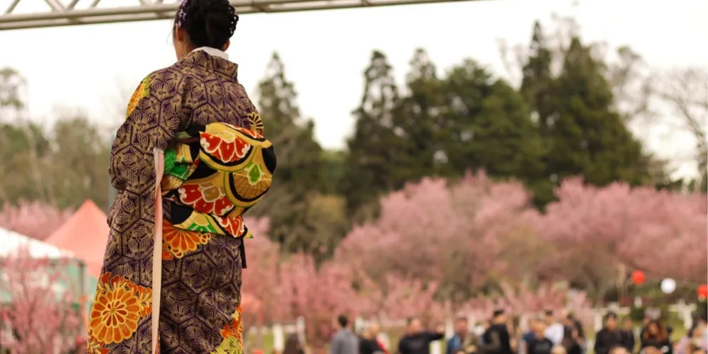 Sakura Matsuri - Festival das Cerejeiras