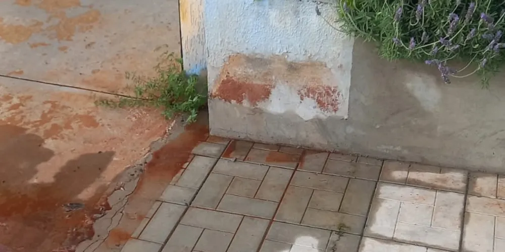 O cliente pode informar o endereço ou a referência do local do vazamento e também enviar foto ou vídeo de até 30 segundos