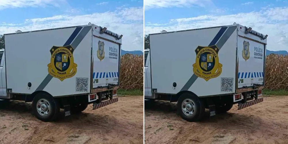O Corpo de Bombeiros e a comunidade indígena se mobilizaram para realização dos trabalhos de buscas. O Instituto Médico-Legal (IML) recolheu o corpo
