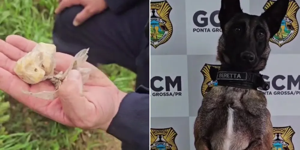 A apreensão ocorreu após Beretta localizar as substâncias