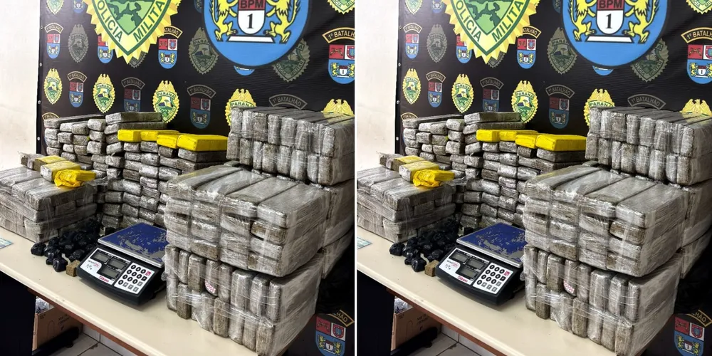 Apreensão de 225 kg de maconha em Ponta Grossa