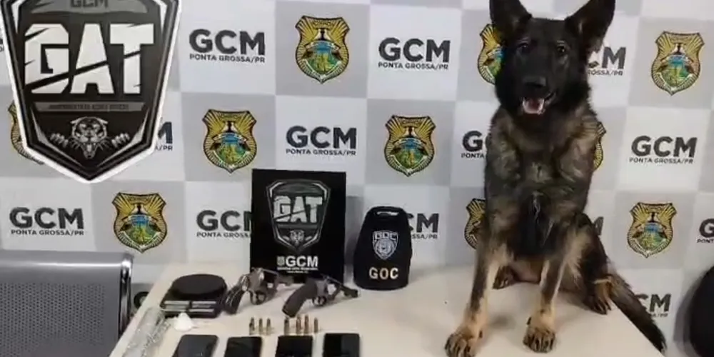 Apreensão da GAT Bravo, da Guarda Civil Municipal de Ponta Grossa