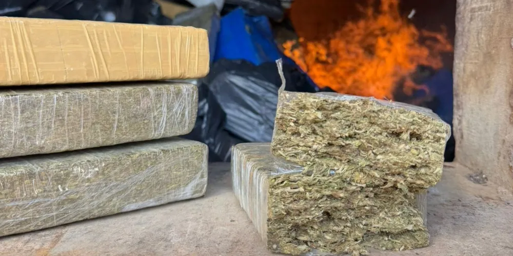 A incineração foi realizada com o apoio da empresa que disponibilizou seus fornos para a destruição dos entorpecentes