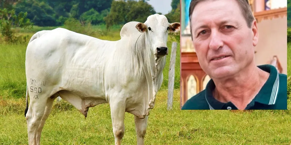 A vítima foi identificada como Elton Giacobbo