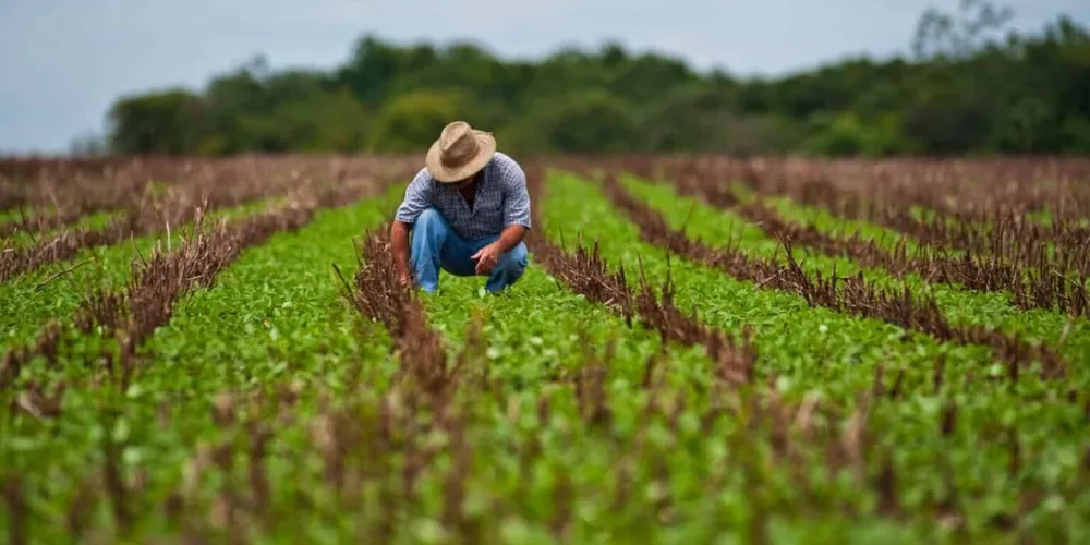 Trabalhador agropecuário