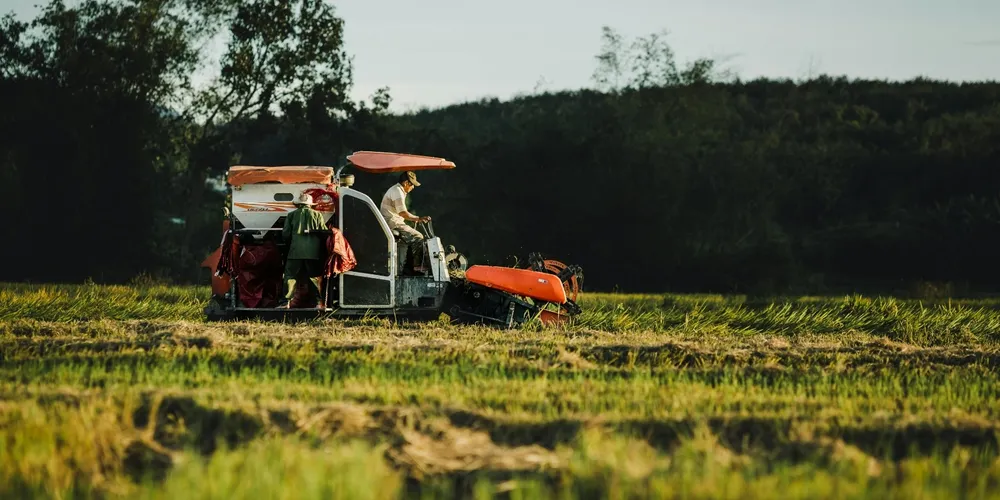 Setor produtivo e indústria de alimentos concentraram a maior fatia do socorro financeiro aprovado pelo BNDES para conter os prejuízos das tarifas de exportação