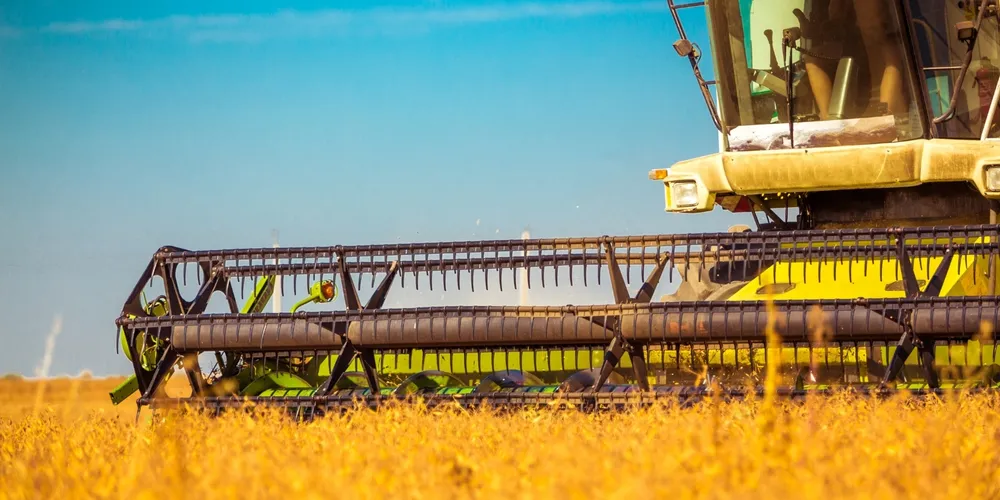 Produção de soja e café impulsionou o avanço do setor agropecuário acima do PIB no segundo trimestre