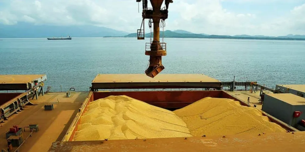 Com estimativas revisadas para cima, exportações do grão devem crescer 15% neste mês na comparação anual