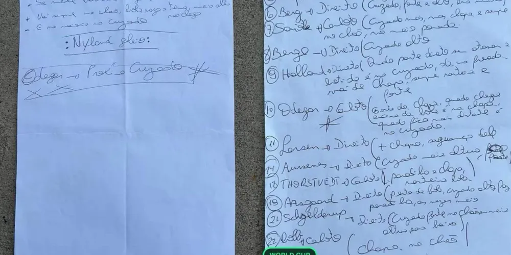 Apesar da eliminação, o jornal alemão Bild divulgou fotos de alguns documentos descartados pela comissão técnica da Seleção.
