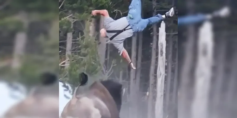 De acordo com a Fox News, este foi o segundo incidente envolvendo um bisão relatado em Yellowstone neste ano