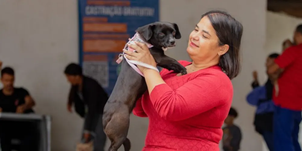 Iniciativa é coordenada pelo Departamento de Defesa e Bem-Estar Animal, da Semma