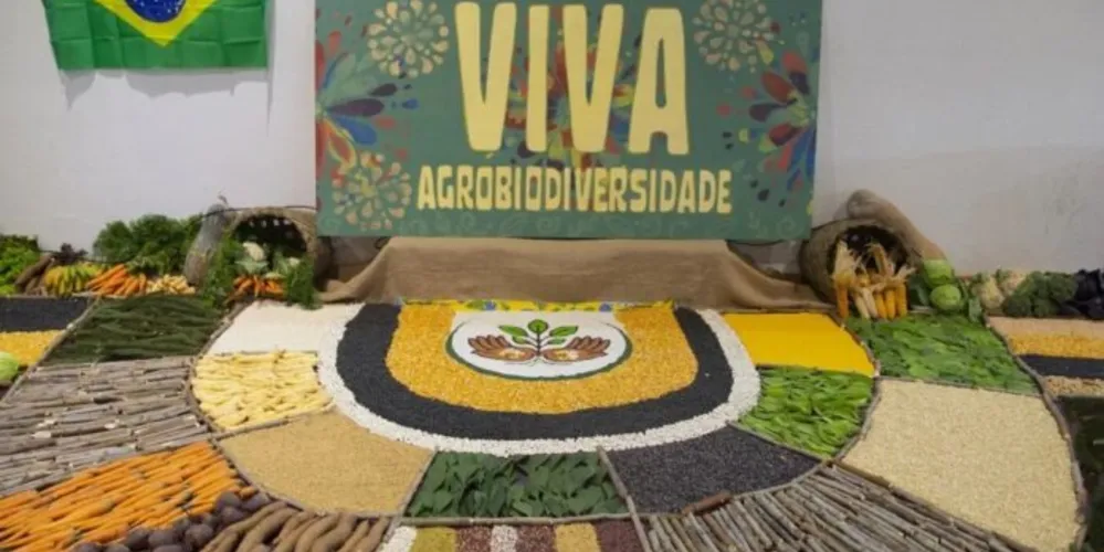 O Seminário de Integração da Agricultura Familiar e Sistemas Tradicionais de Produção acontece nos dias 12 e 13 de agosto em Irati