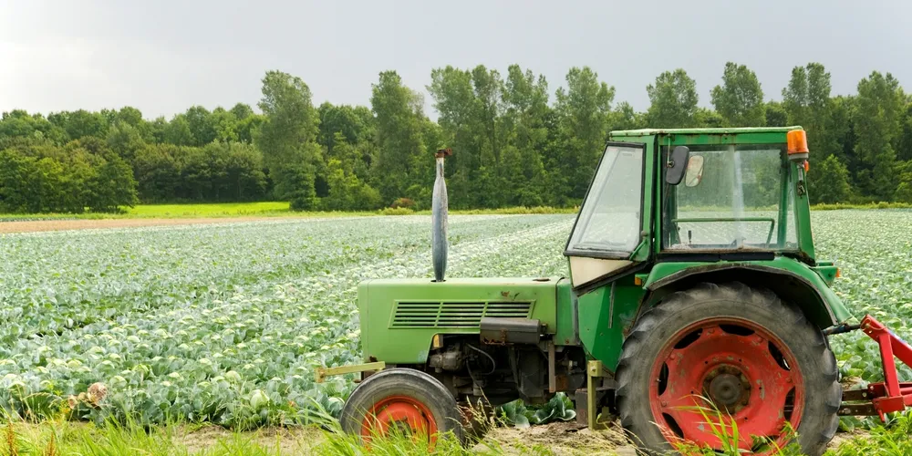 Campos Gerais mostra força no setor agropecuário paranaense