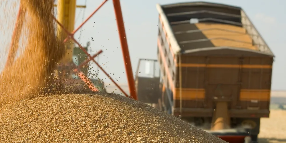 Colheita de grãos avança pelo país na safra 2025/26, impulsionada pelo aumento da área plantada de soja e milho e mantendo o abastecimento do mercado interno