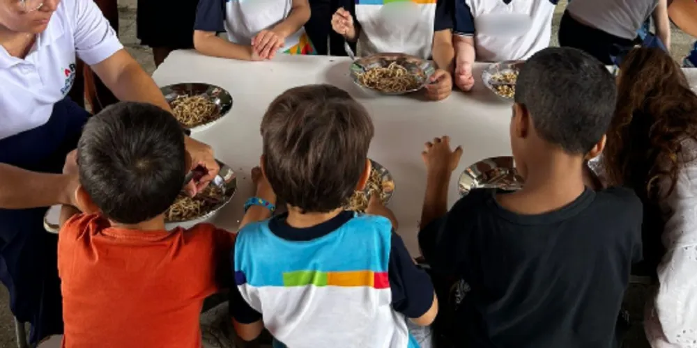 Atribuições incluem acompanhar aplicação dos recursos destinados à alimentação escolar